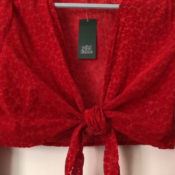 NWT Wild Fable Target Red Suede Floral Translucent Tie Crop Top Long Sleeves - S - Picture 6 of 12